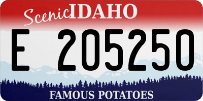 ID license plate E205250