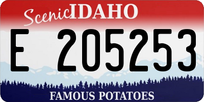 ID license plate E205253
