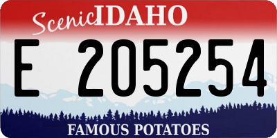 ID license plate E205254
