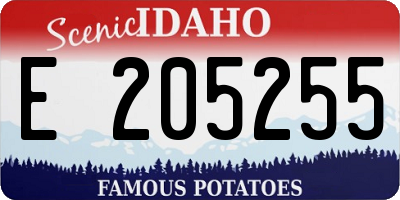 ID license plate E205255