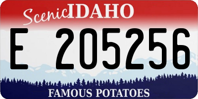 ID license plate E205256