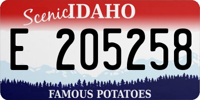 ID license plate E205258