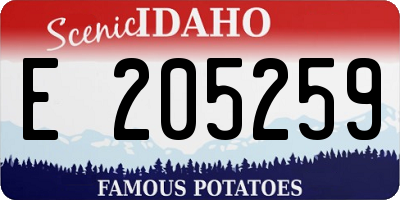 ID license plate E205259
