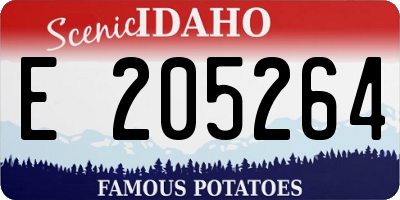 ID license plate E205264