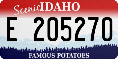 ID license plate E205270