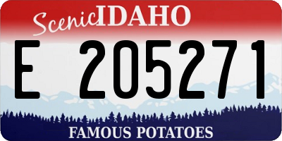 ID license plate E205271