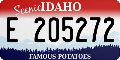 ID license plate E205272