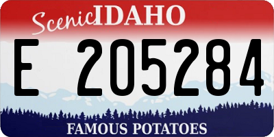 ID license plate E205284