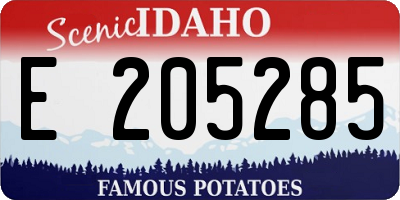 ID license plate E205285