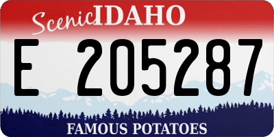ID license plate E205287
