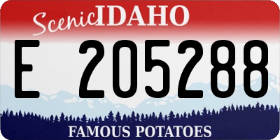 ID license plate E205288