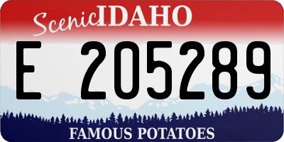 ID license plate E205289