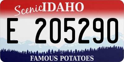 ID license plate E205290