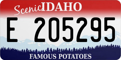 ID license plate E205295
