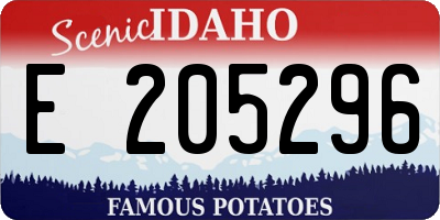ID license plate E205296