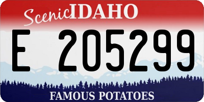 ID license plate E205299