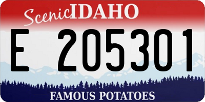 ID license plate E205301