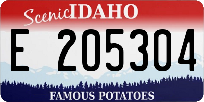 ID license plate E205304