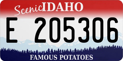 ID license plate E205306
