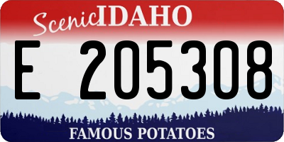 ID license plate E205308