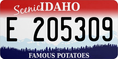 ID license plate E205309