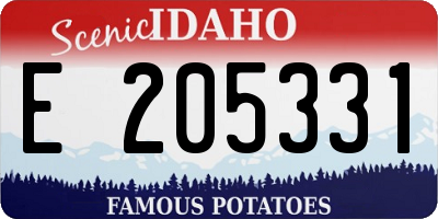 ID license plate E205331