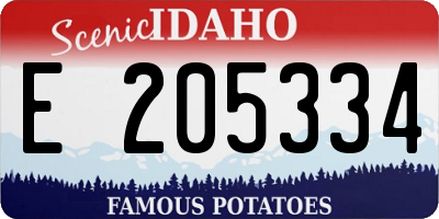 ID license plate E205334