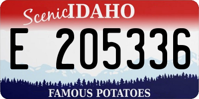 ID license plate E205336