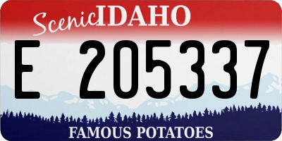 ID license plate E205337