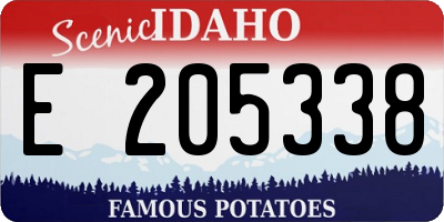 ID license plate E205338