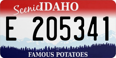 ID license plate E205341
