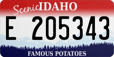 ID license plate E205343