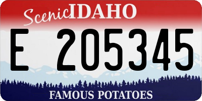 ID license plate E205345