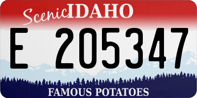 ID license plate E205347
