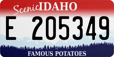 ID license plate E205349