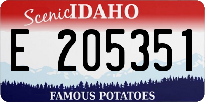 ID license plate E205351