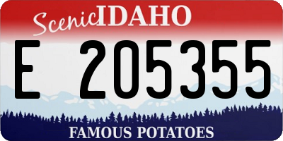 ID license plate E205355
