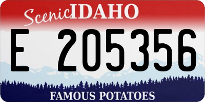 ID license plate E205356
