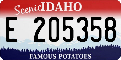 ID license plate E205358