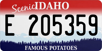 ID license plate E205359