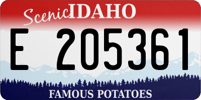 ID license plate E205361
