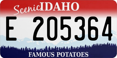ID license plate E205364
