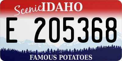 ID license plate E205368