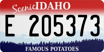 ID license plate E205373
