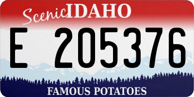 ID license plate E205376