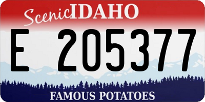 ID license plate E205377