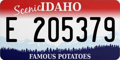 ID license plate E205379