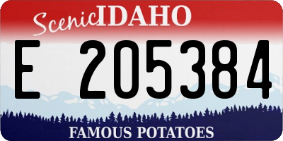 ID license plate E205384