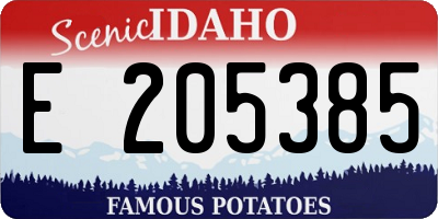 ID license plate E205385