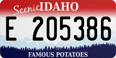 ID license plate E205386